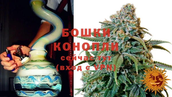 твердый Михайлов