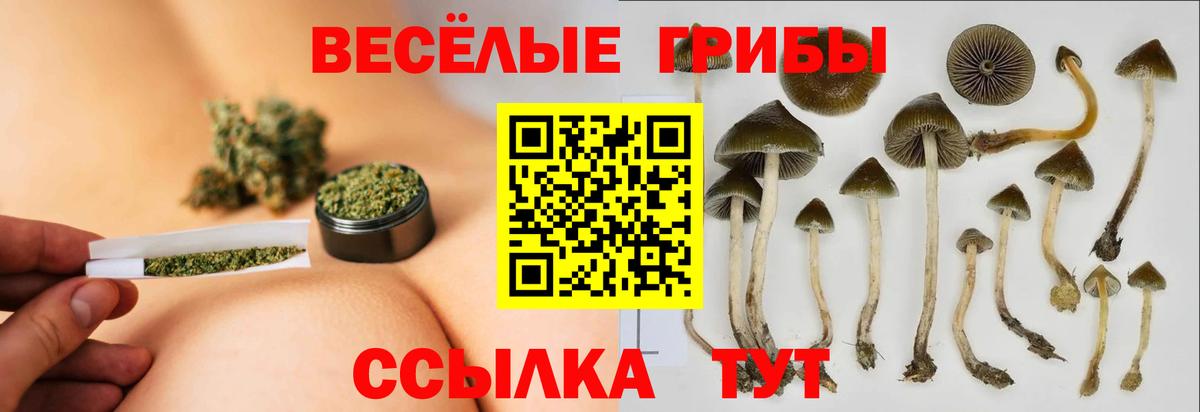 Галлюциногенные грибы ЛСД  Псилоцибиновые грибы GOLDEN TEACHER  Каменск-Шахтинский 