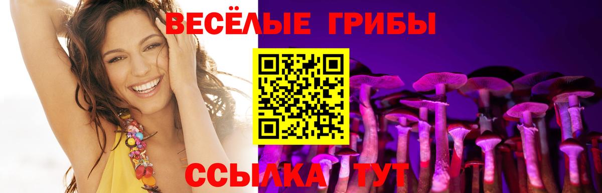 Псилоцибиновые грибы ЛСД Каменск-Шахтинский